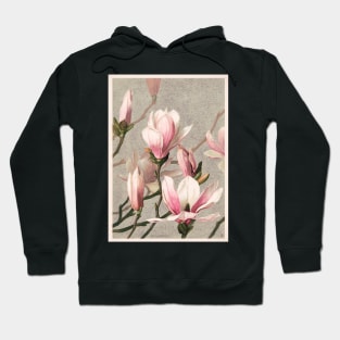 Magnolia (1886) by L. Prang, flowers painting Hoodie